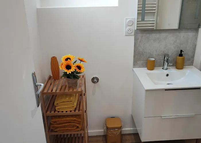 Cmg 3 Petit Bois Place Ducale *